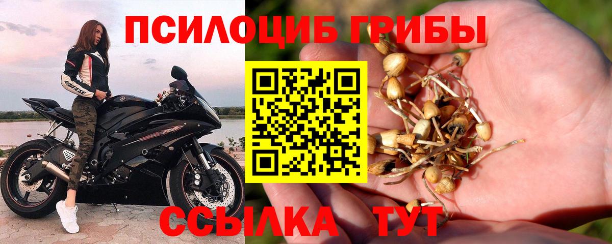 Псилоцибиновые грибы мухоморы  Галлюциногенные грибы Psilocybine cubensis  Родники  Вход с VPN 